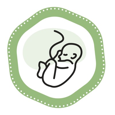 ivf iui